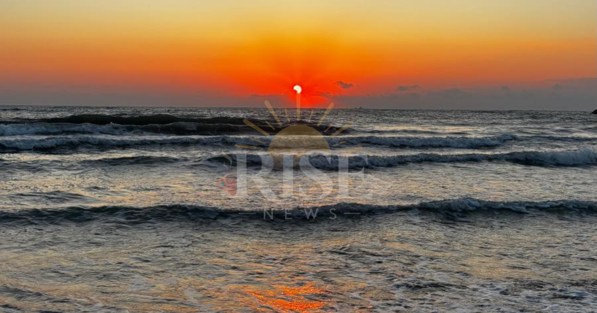 rasarit