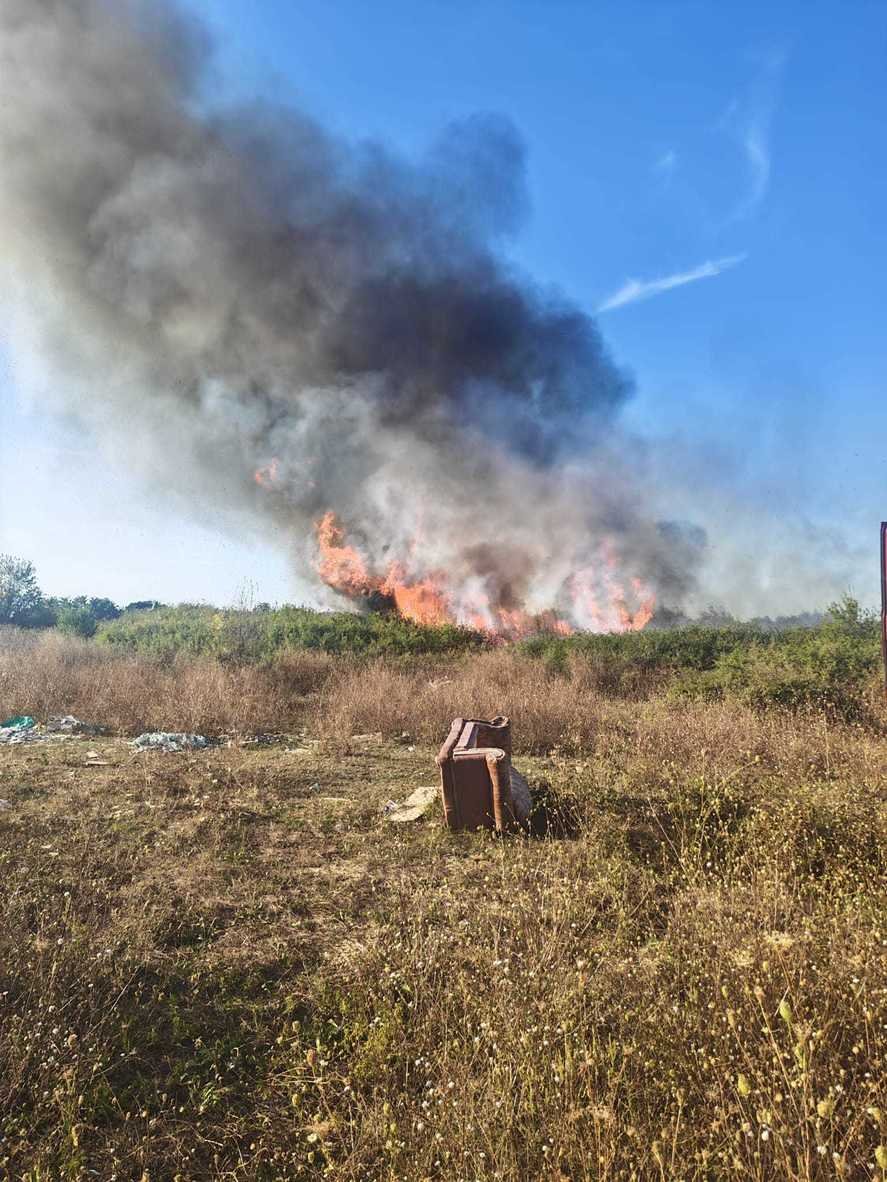 incendiu-vegetatie-craiova